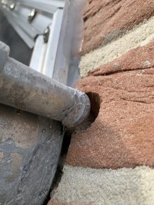 IMG_4383.jpeg