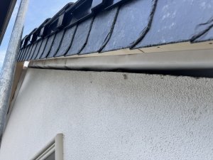 IMG_6927.jpeg