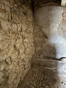 IMG_4438.jpeg