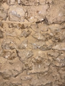 IMG_4440.jpeg
