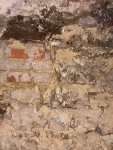 IMG_4442.jpeg