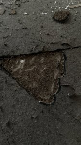 IMG_0508.JPEG
