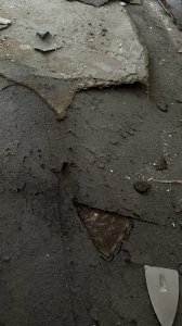 IMG_0507.JPEG