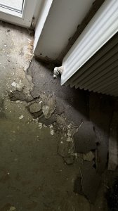 IMG_0504.JPEG