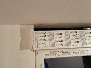 IMG_5538.jpeg