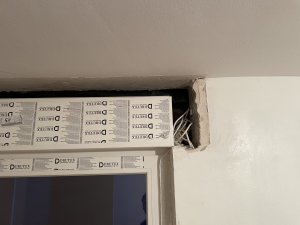 IMG_5537.jpeg