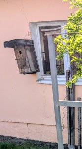 Risse rechte Hausseite.jpg