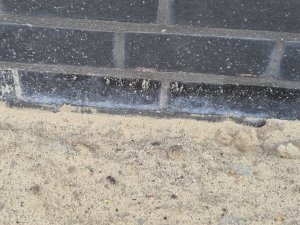 20260615_084447.jpg