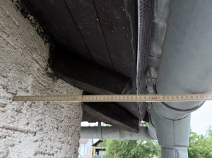 IMG_4713.HEIC_compressed.JPEG