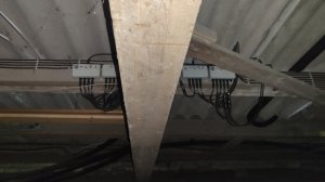 IMG_20260608_140631.jpg