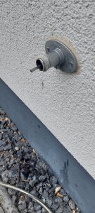 Schell-Hahn 3.jpg