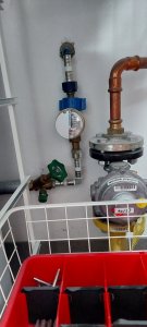 Schell-Hahn 2.jpg