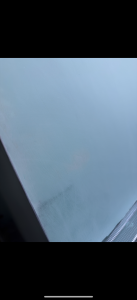 IMG_1891.png