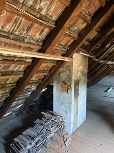 IMG_4419.jpg