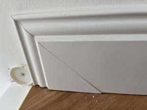 IMG_2908.jpeg