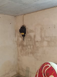 IMG_20260618_124036.jpg