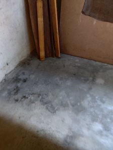 IMG_20260618_115930.jpg