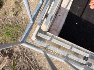 IMG_9261.jpeg