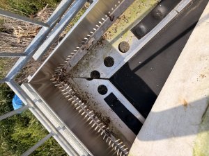 IMG_9260.jpeg