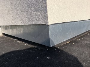 IMG_9259.jpeg