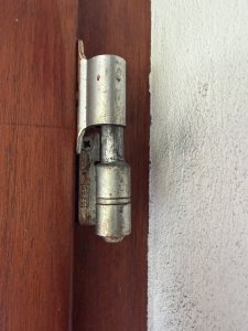 IMG_5125.jpeg