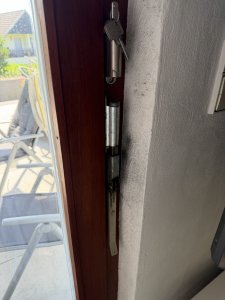 IMG_5126.jpeg