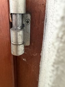 IMG_5129.jpeg