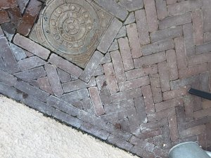 IMG_3859.jpeg