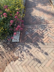 IMG_3860.jpeg