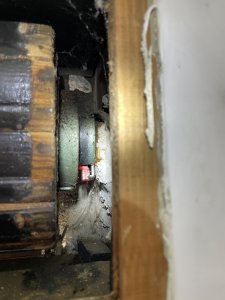 IMG_6802.jpeg