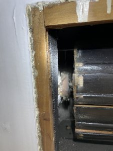IMG_6803.jpeg