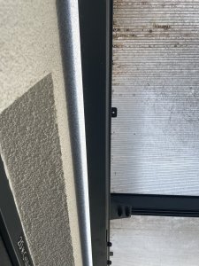 IMG_6499.jpeg