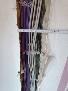 1782809913061.jpg
