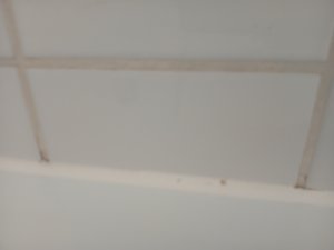 IMG_20260630_132642.jpg
