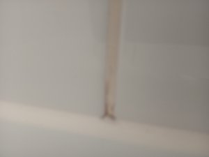 IMG_20260630_132813.jpg