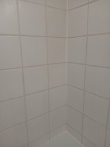 IMG_20260628_094352.jpg