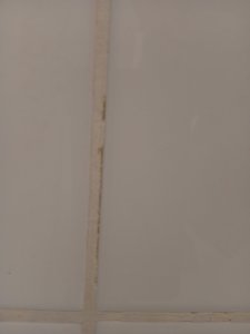IMG_20260630_093754.jpg