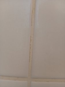 IMG_20260630_093942.jpg