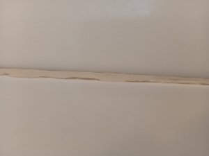 IMG_20260630_093953.jpg