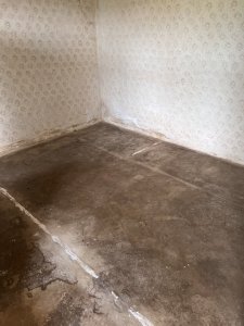 IMG_0070.jpeg