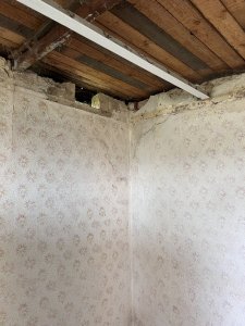IMG_0073.jpeg