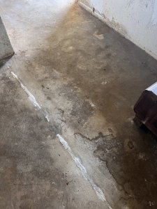IMG_0076.jpeg