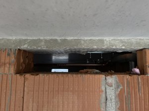 IMG_6087.jpeg