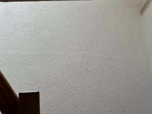 IMG_6597.jpeg