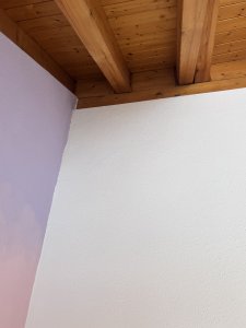 IMG_6598.jpeg