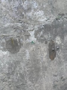 mauer-und-treppe-neu-machen-v0-szmz2cina6bh1.jpg