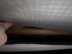 IMG_20260709_164609.jpg