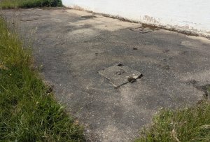 PXL_20250529_124519556~3.jpg