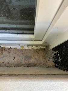 Fenster1.JPG