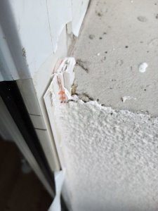 IMG_20260713_183455.jpg